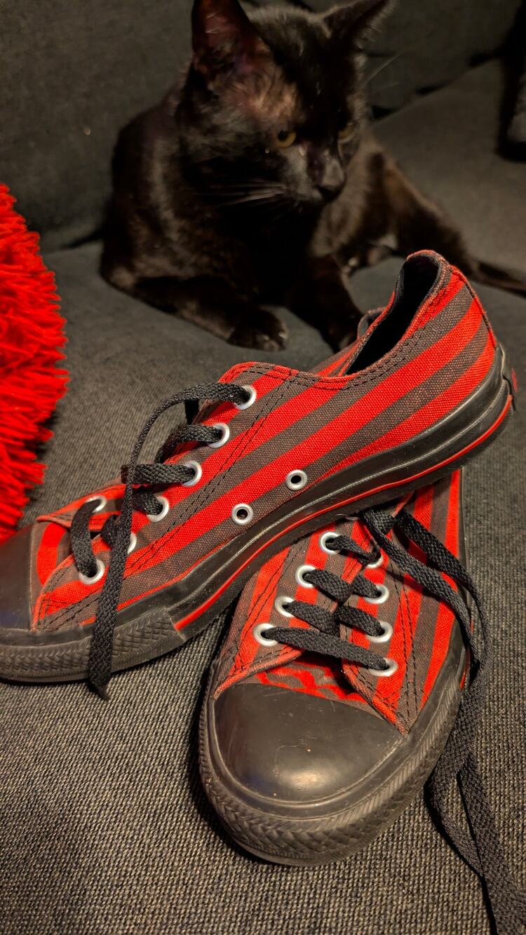 Converse All Star red/black striped sneakers Size M6/W8